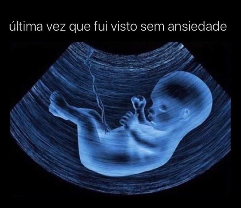 euovitinn's tweet photo. e não é meme https://t.co/ViViX0HZUX