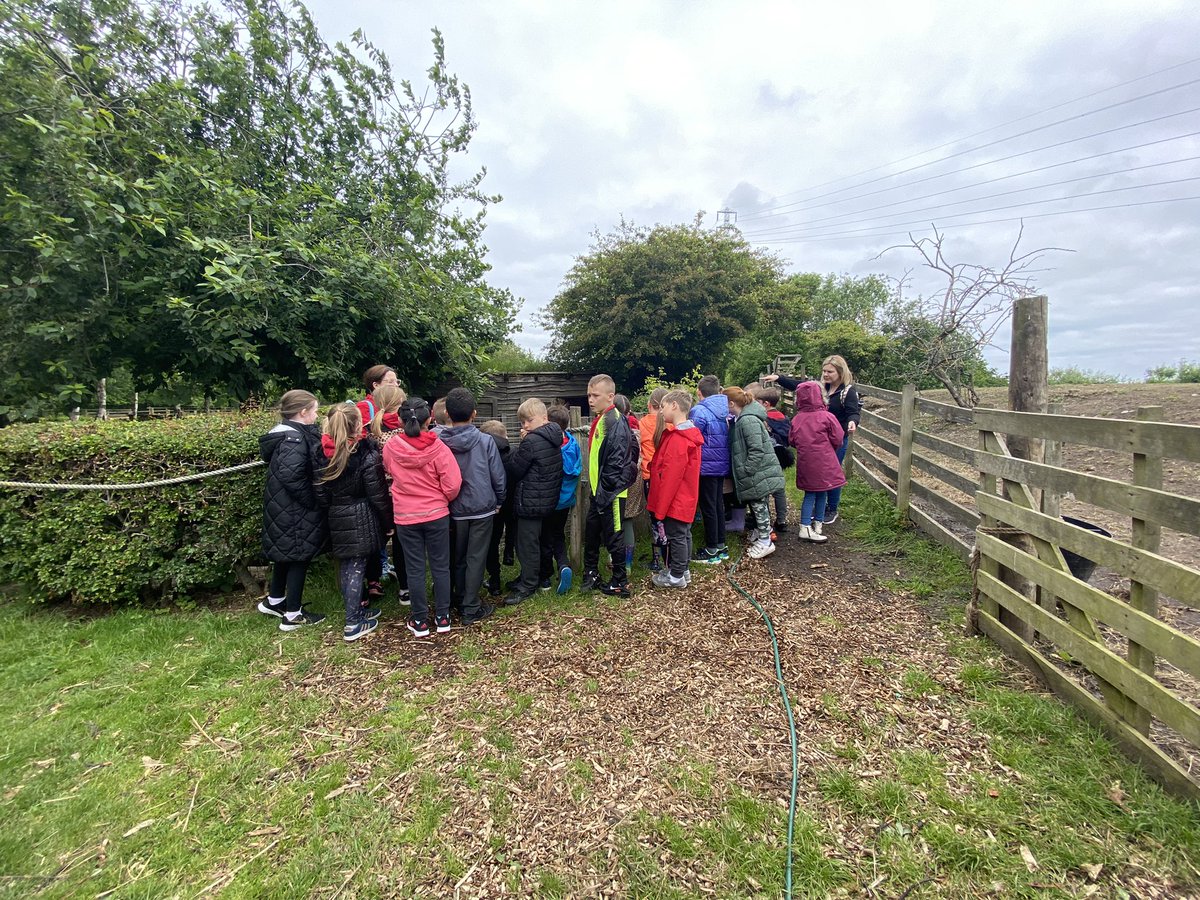 year3sjb's tweet photo. Learning about farm life @JarrowHall #StJosLivingCurriculum https://t.co/dMlrmOlEN1