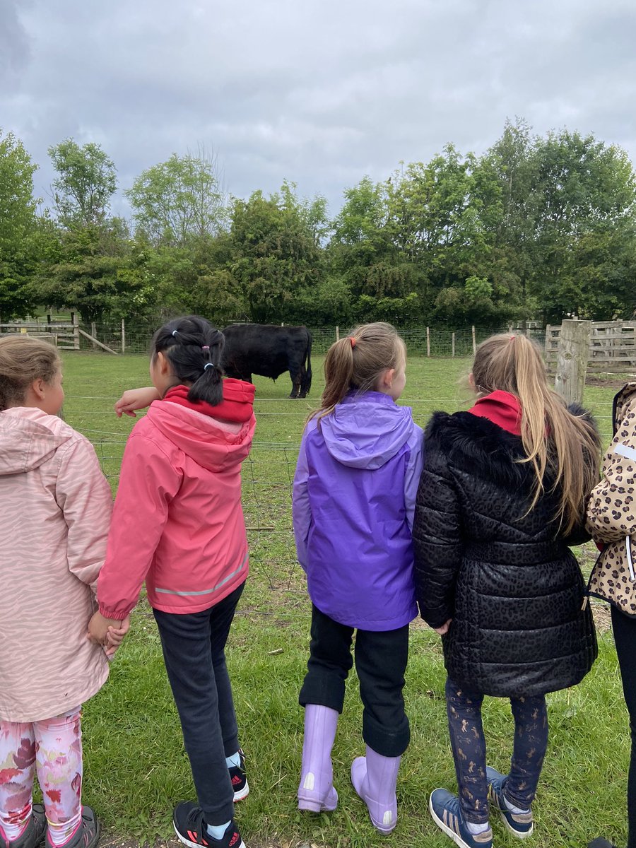 year3sjb's tweet photo. Learning about farm life @JarrowHall #StJosLivingCurriculum https://t.co/dMlrmOlEN1