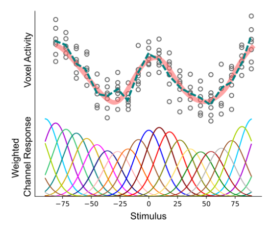Encoding Models in Neuroimaging