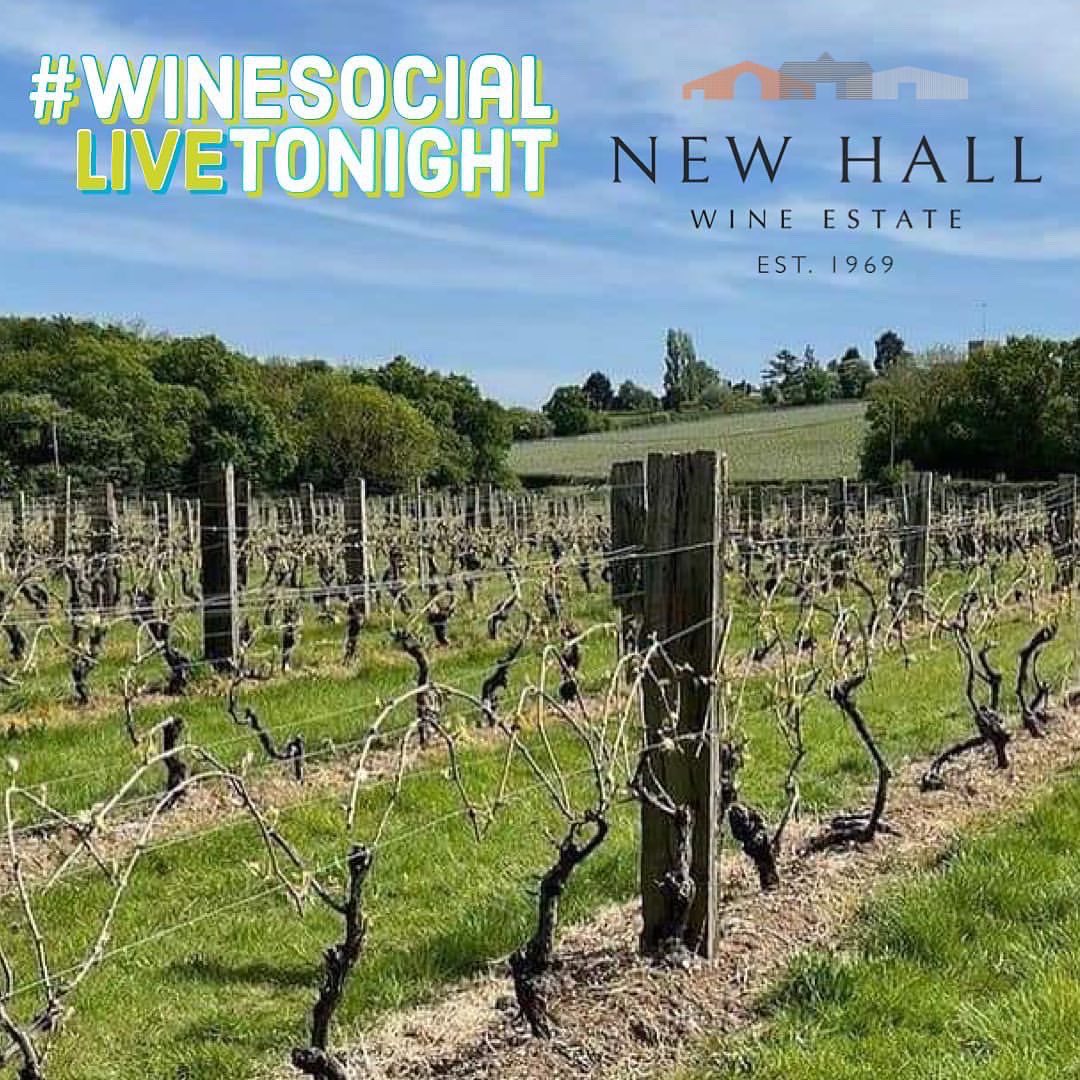 We’re LIVE on Instagram this evening at 20:00 on <a href="/winetimelondon/">Winetimelondon</a> 😱😁

Lucy will join host @BradleyHorne to chat about our new 2021 wines, newly unveiled brand, our history and our future. 

See you there! #winesocial 

#NewHallWineEstate #CrouchValley