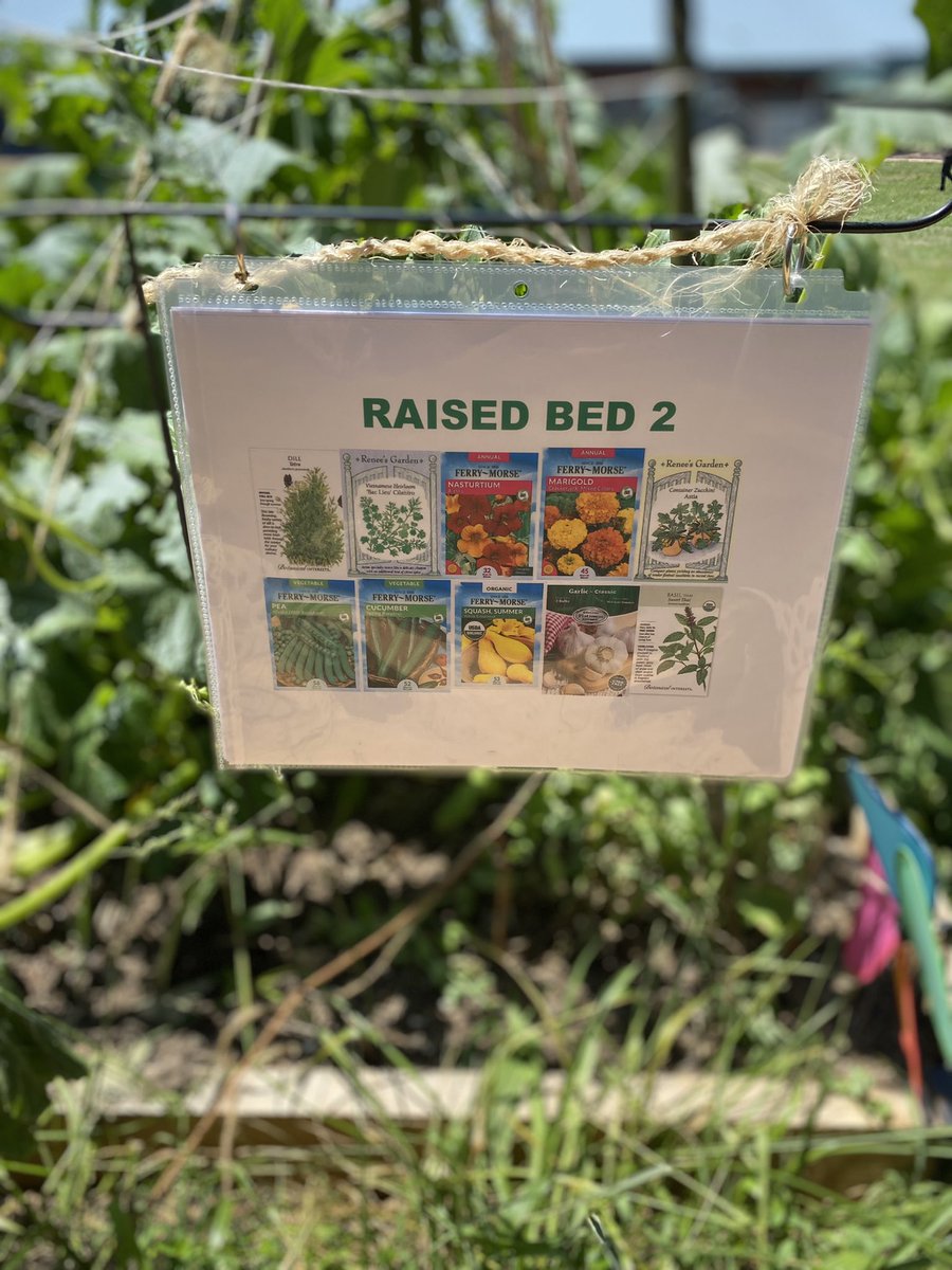 Bethany Cutts tweet media