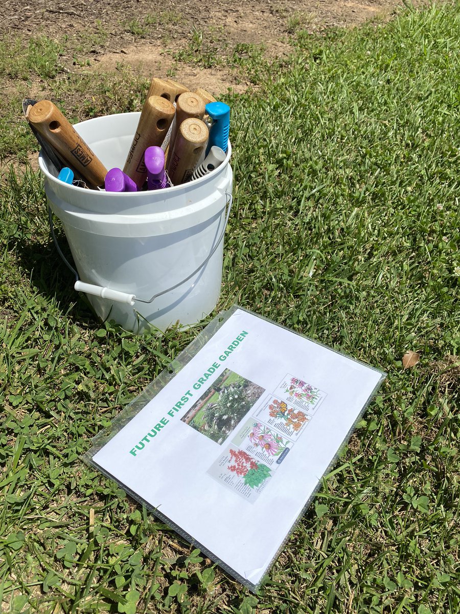College students + Elementary students = growth. Even before you count the #zucchini . Such a fun experiment with <a href="/keproctor/">karen proctor</a> and the <a href="/ddmespta/">Dillard Drive Elementary School PTA</a> and <a href="/NCStateCNR/">NC State College of Natural Resources</a>