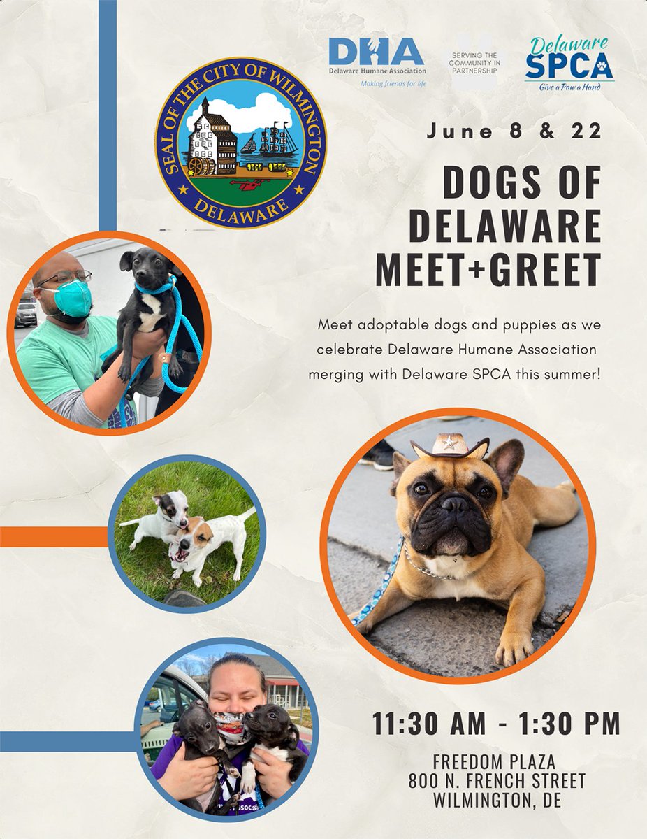 The City of #WilmDE is proud to co-sponsor, with the Delaware Humane Association and the Delaware SPCA, a lunchtime meet-and-greet this Wednesday, June 8th in Freedom Plaza from 11:30am to 1:30pm! See the flyer for more info. 🐶🐱