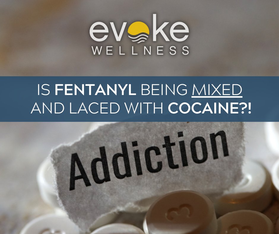 Fentanyl has a high potential for addiction, and overdose and reports indicate is being laced with cocaine for a lethal cocktail.

⬇️⬇️⬇️

evokewellness.com/fentanyl-mixed…

#cocaine #fentanyl #opiates #addiction #substanceabuse #opioidepidemic #fentanyladdiction #crackcocaine
