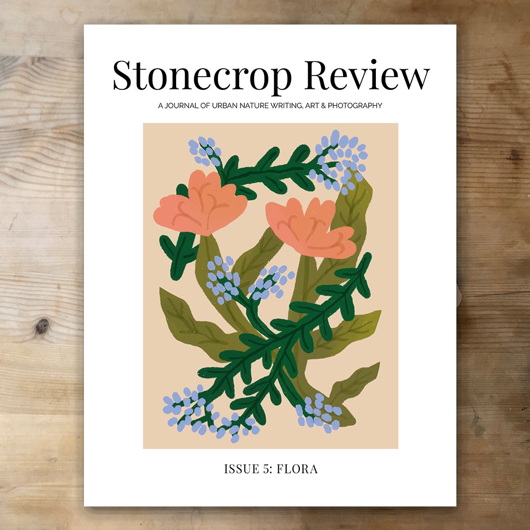 Stonecrop Review tweet media
