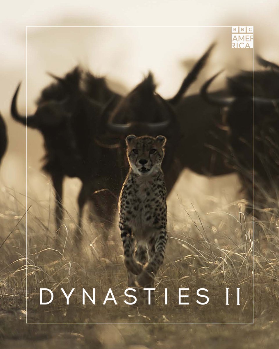 BBC America tweet media