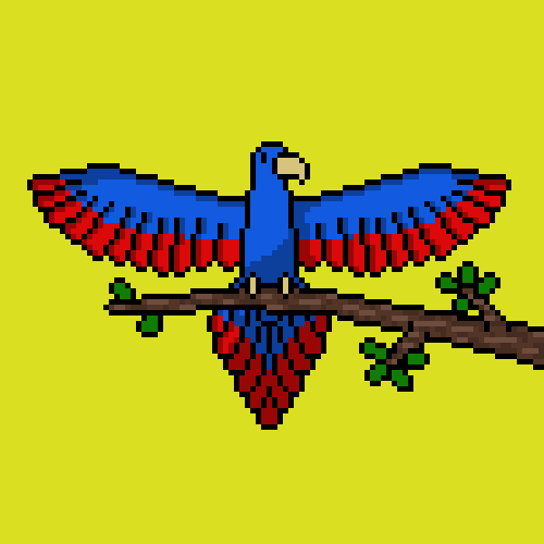 Radical Parrots tweet media