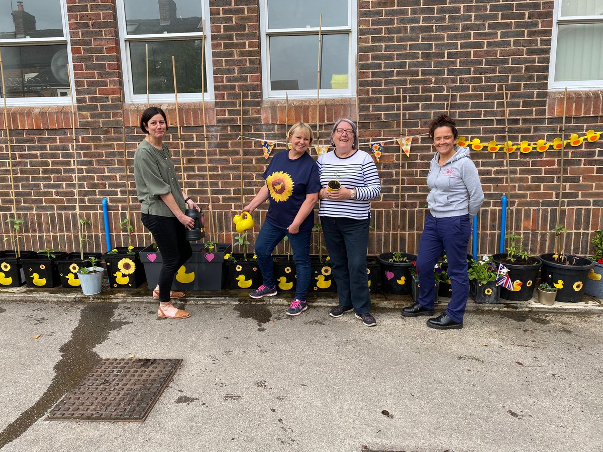 #bloomingmarvellous22 sunflowers planted in our car park at Clementhorpe Health Centre tonight. York HFSNs are brightening up this gloomy space and growing #heartfailureawareness. We are hoping to retain the trophy this year 🌻🏆. 
@pumpinghearts 
@sarah_bainy
@YSTeachingNHS