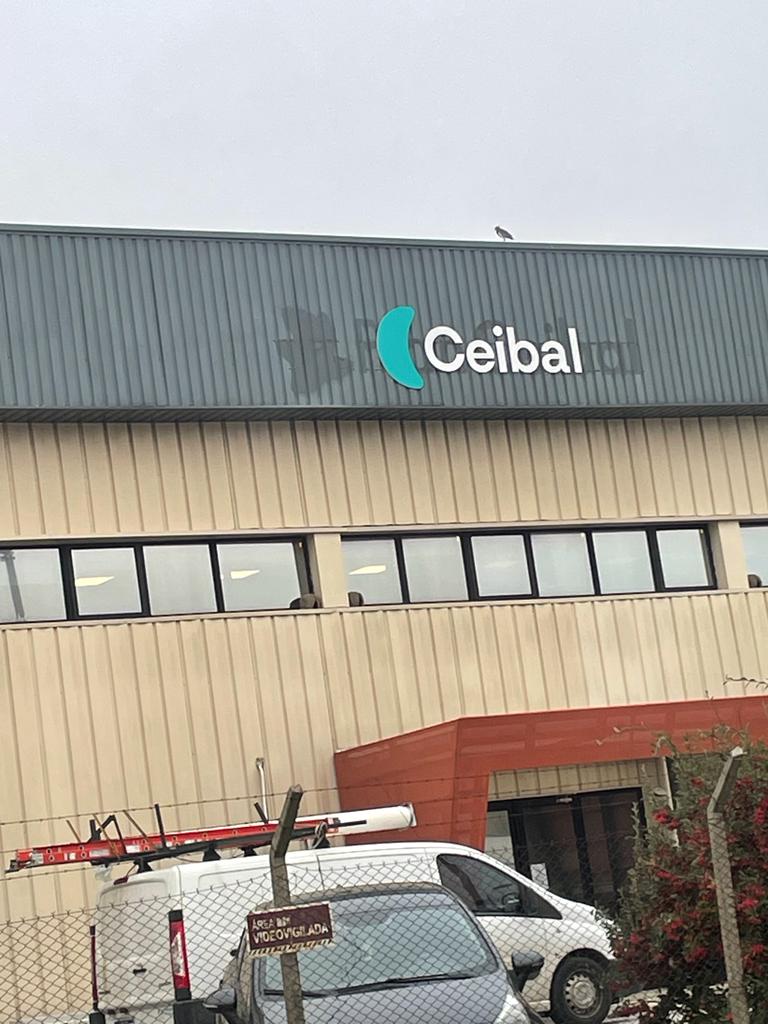 Definición de berreta en una imagen: