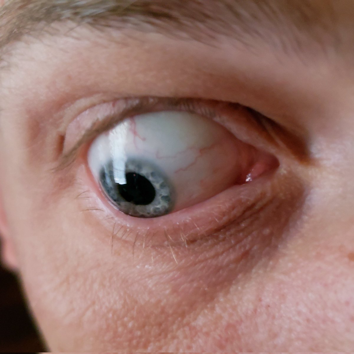 DaktaPeppa's tweet photo. eye see you https://t.co/Mwn6PIdMqO