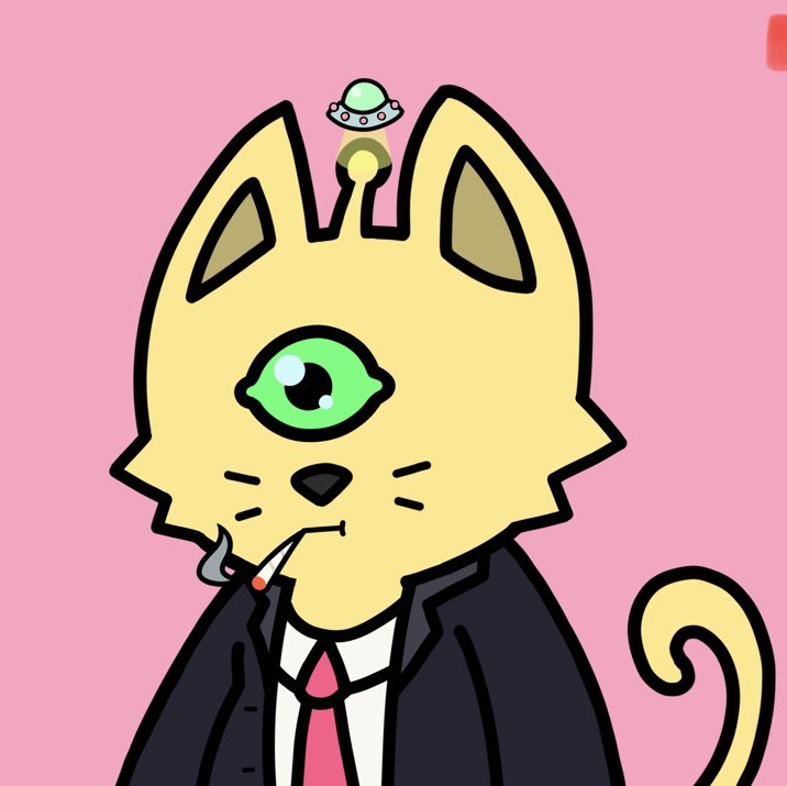 Shhhhhhh… ITS A SECRET!🤫🤫 <a href="/Cosmicverse_/">cosmic</a> #meow #GetCosmic