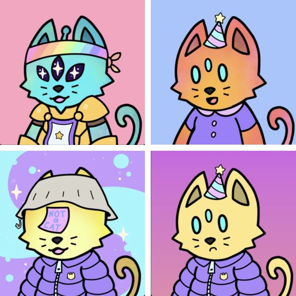 Shhhhhhh… ITS A SECRET!🤫🤫 <a href="/Cosmicverse_/">cosmic</a> #meow #GetCosmic