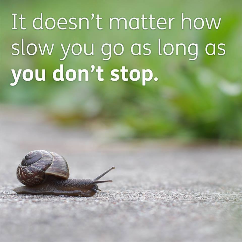 gaetaneferland's tweet photo. It doesn't matter how slow you are!

Make a decision and follow through as long as it takes!
#homebasedbusiness #freedomwithgaetane #iamdriven
#decision https://t.co/WciODNGd3m