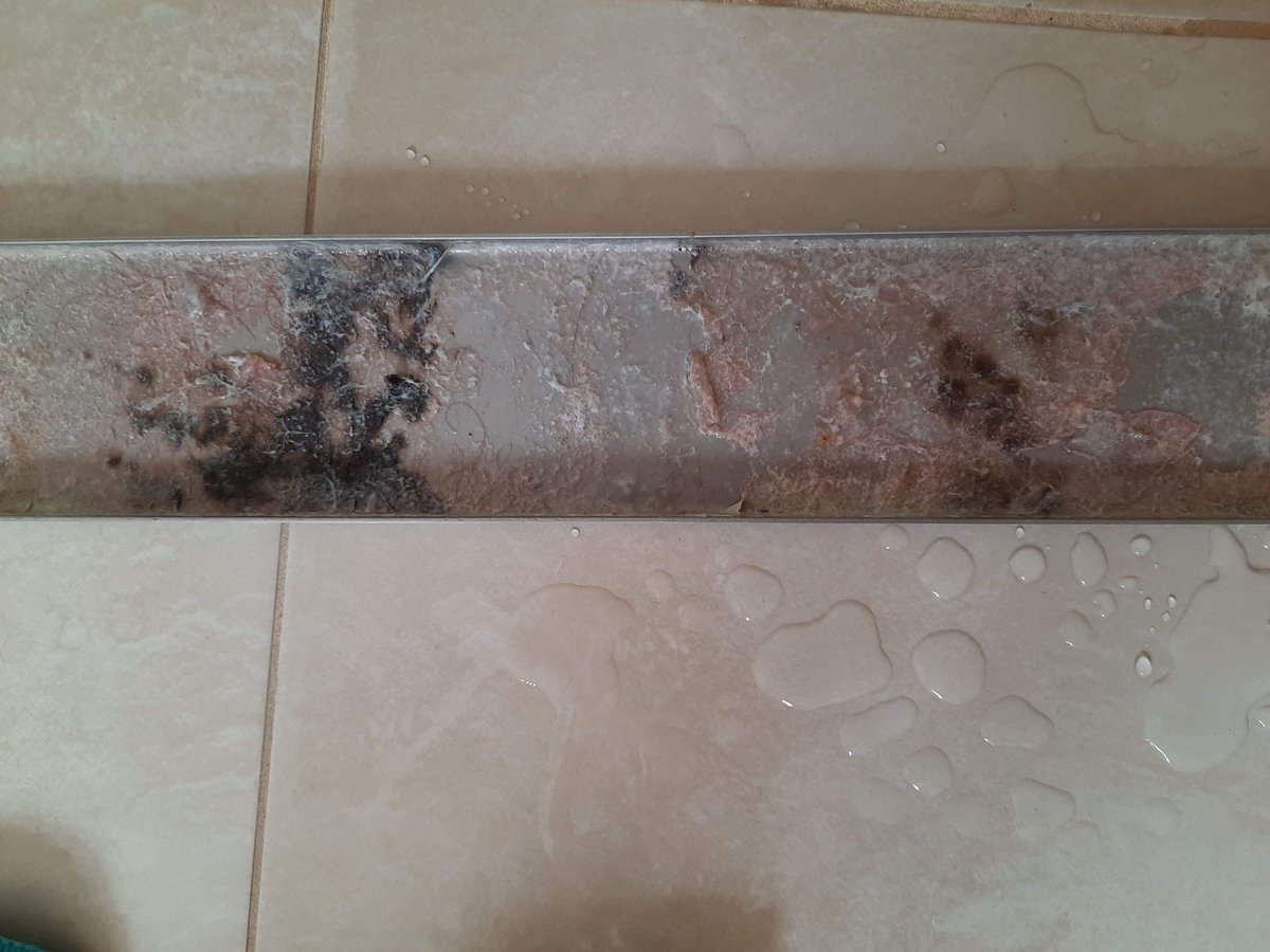DFL_Dust_Free's tweet photo. Deep cleaning joy at the start of the week.. #cleaning #Cornwall https://t.co/fidvzq3jEn