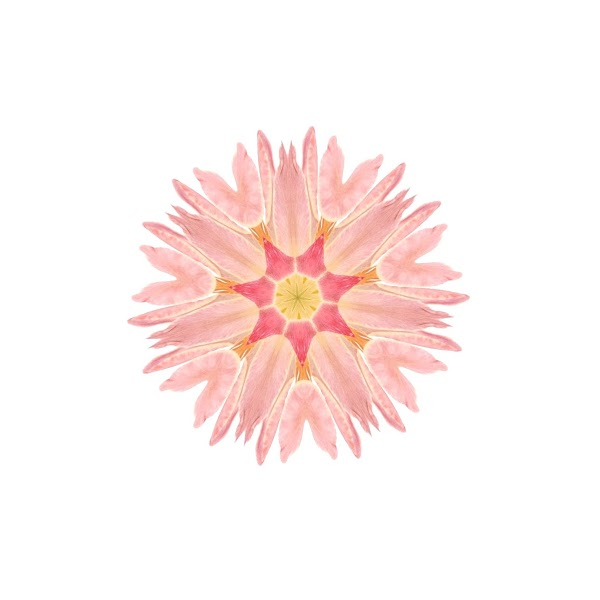 Art should be something that liberates your soul &amp; mind, and help you to find your internal peace 🦚

Hope my art makes your day brighter 🌻🌸

0.004 $eth 

opensea.io/collection/amb… 

#NFTCommunity #NFTs #NFTartist #nftart #art  #PolygonNFTs 

Drop your art below to make my day 👇🏻