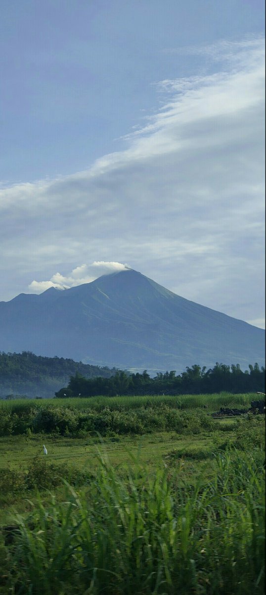 Nature Lover:
9/ I'm the kind of person who is extrovert. Loves to go roadtrips and capture beautiful scenery!