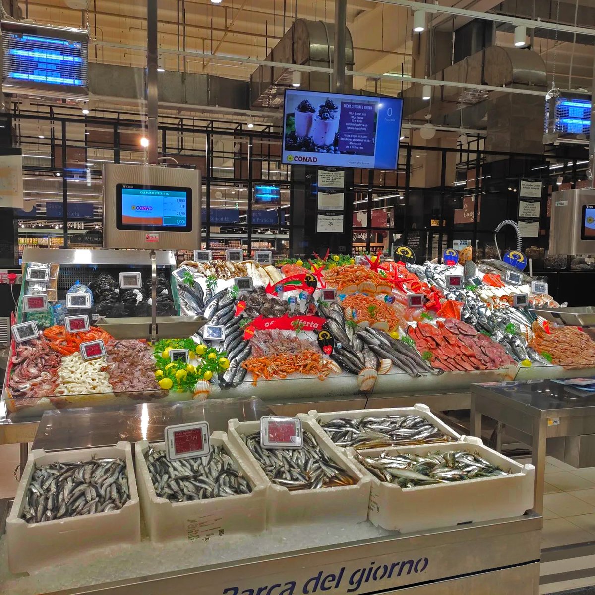 BlueRedGroup tweet media