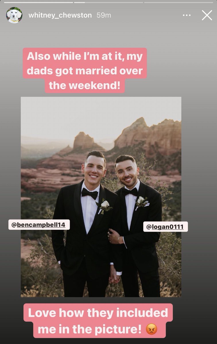 congratulations to the homophobic dog’s gay dads who just got married