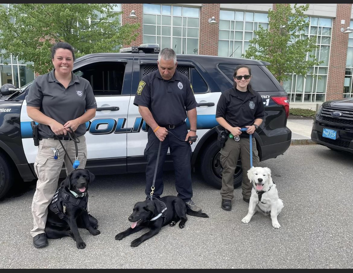 Danvers Police Dept tweet media