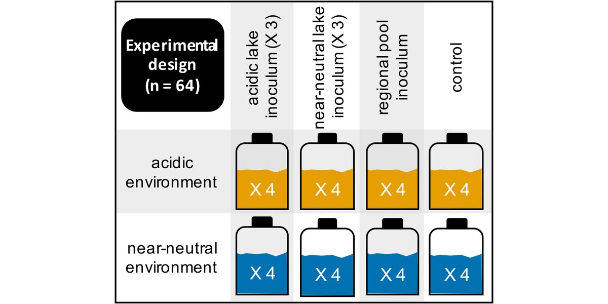 Ecosphere (@esaecosphere) on Twitter photo From our #FreshwaterEcology track:
A new study reveals the importance of #MicrobialCommunity composition in #lake sediments for ecological processes & water chemistry
doi.org/10.1002/ecs2.4…
#MicrobialEcology #OpenAccess #NSFFunded <a href="/NSF/">U.S. National Science Foundation</a> <a href="/BLBertolet/">britt bertolet (she/her)</a> <a href="/joneslabND/">Stuart E. Jones</a> From our #FreshwaterEcology track:
A new study reveals the importance of #MicrobialCommunity composition in #lake sediments for ecological processes & water chemistry
doi.org/10.1002/ecs2.4…
#MicrobialEcology #OpenAccess #NSFFunded <a href="/NSF/">U.S. National Science Foundation</a> <a href="/BLBertolet/">britt bertolet (she/her)</a> <a href="/joneslabND/">Stuart E. Jones</a>