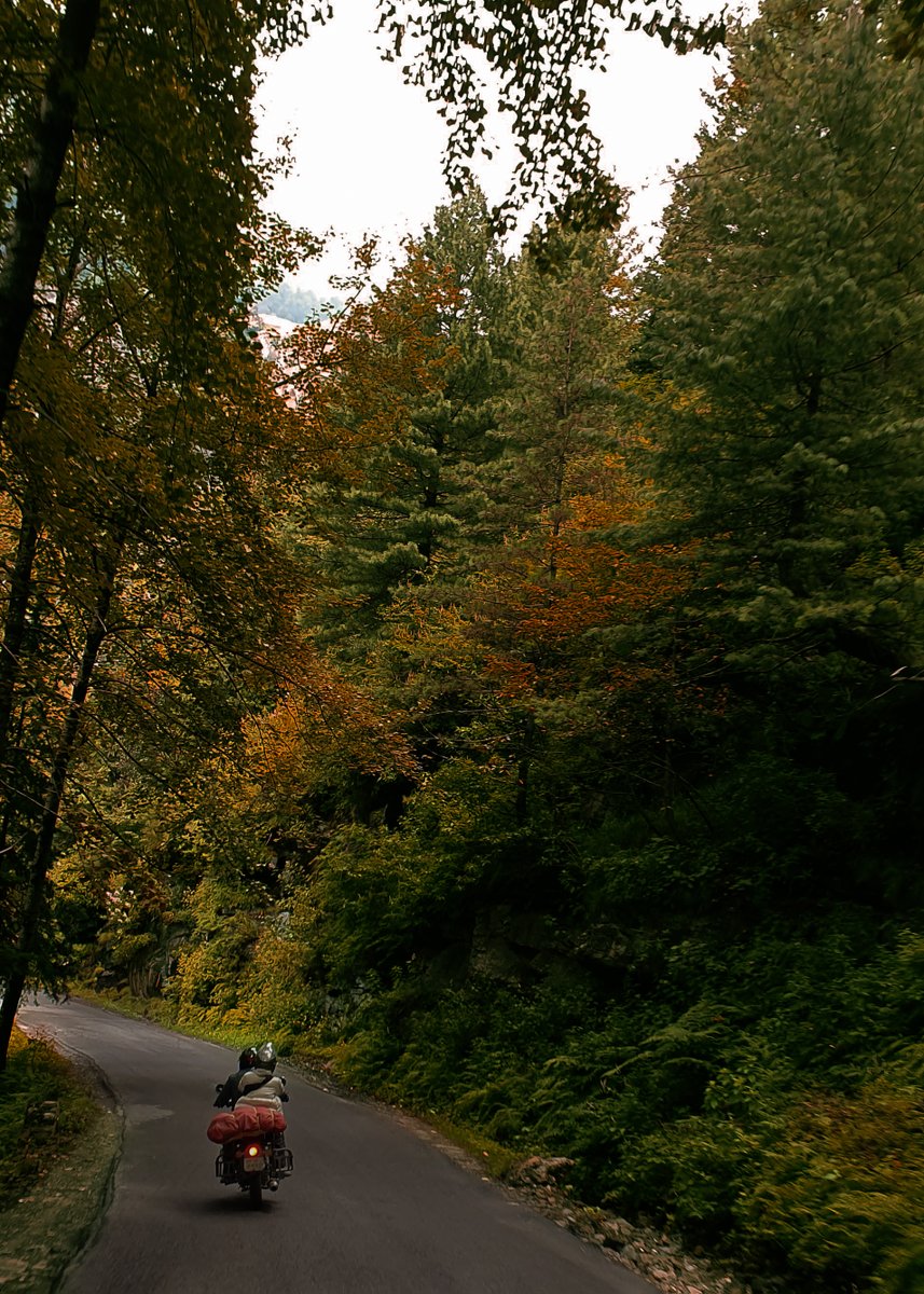 Swathi Shah (📸,💙💛) tweet media