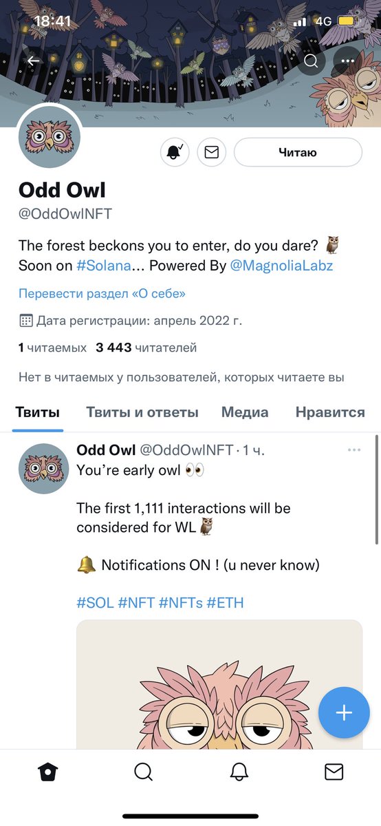 One1peso's tweet photo. @OddOwlNFT 🦉🦉🦉 https://t.co/UG6MI7lhFr