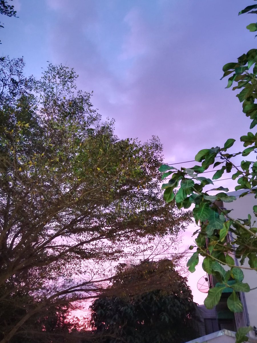 ♡𝑩𝒃𝒖𝒏𝒉𝒖𝒆𝒏𝒊𝒏𝒈˚₊⋆𖤐 tweet media