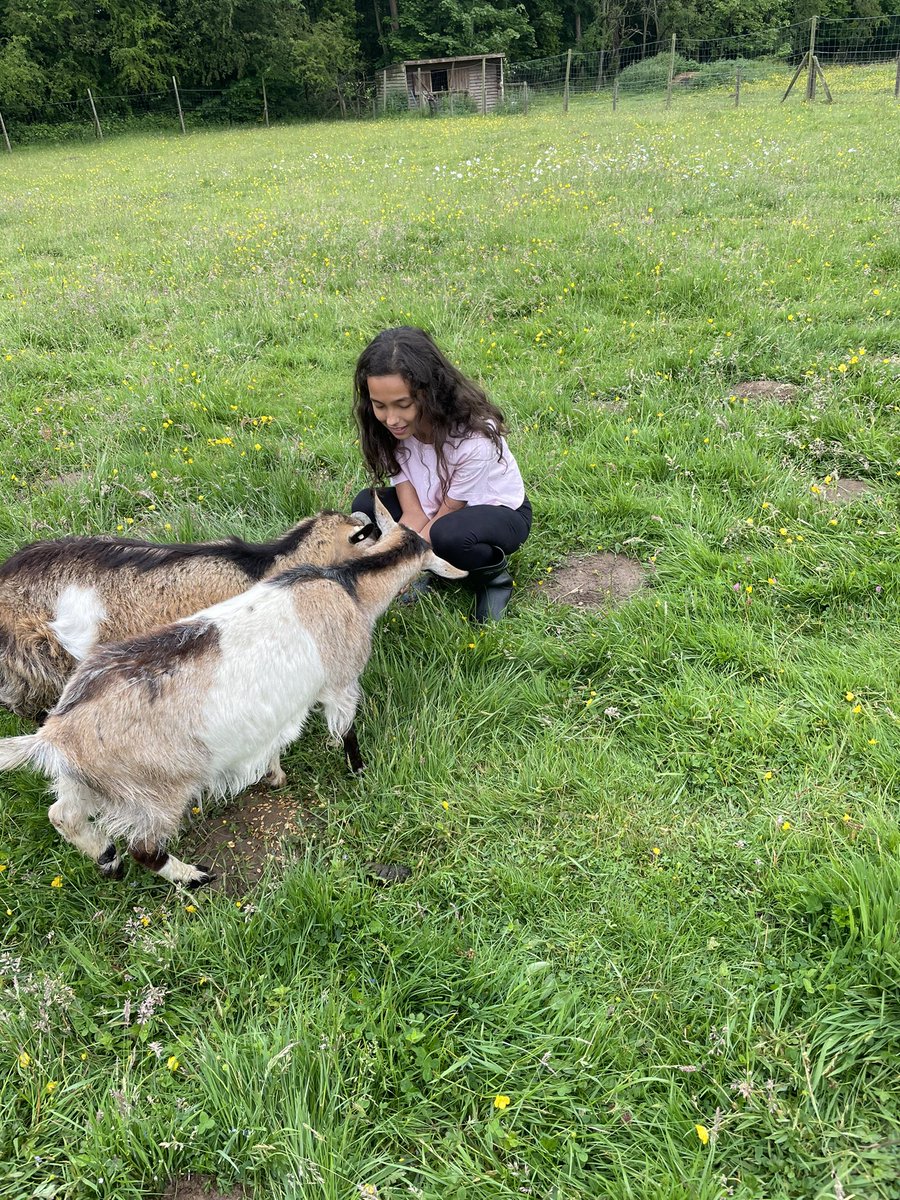 This afternoon we’ve spent time getting to know the resident animals at The Gordon Brown Centre. Our job this week is to look after the goats 🐐 <a href="/WoodhillSch/">Woodhill Primary School</a> <a href="/TheTonyTrust/">TheTonyTrust</a>