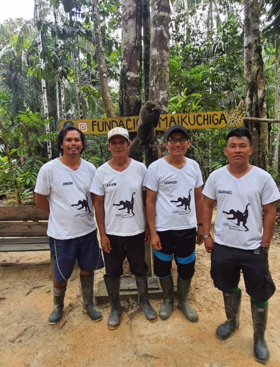 Porque todos los días son para celebrar la vida, la naturaleza. #DiaMundialDelMedioAmbiente Los invito a conocer a la Fundación Maikuchiga, una experiencia de conservación comunitaria en la #Amazonía colombiana.
facebook.com/fundacion.maik…