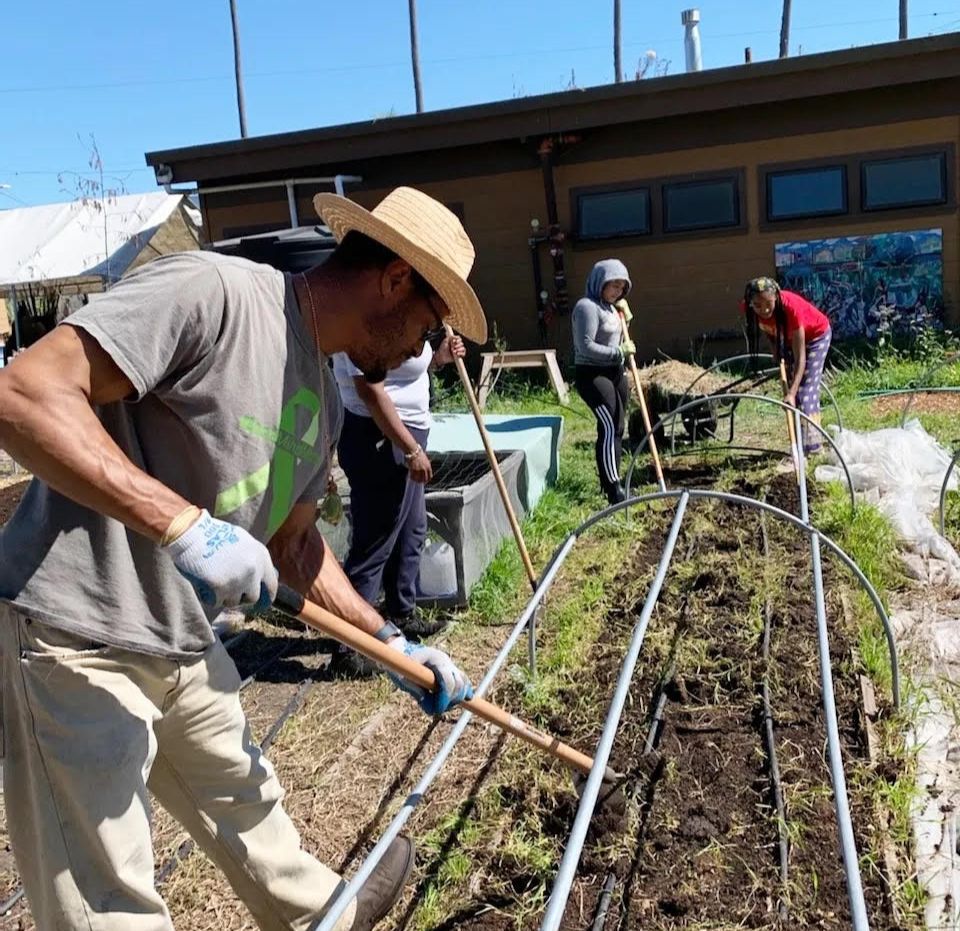City Slicker Farms tweet media
