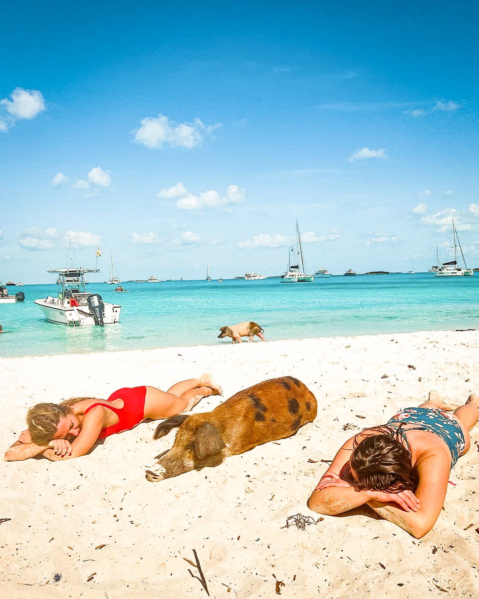 Mondays, amirite? 🐖

Thanks for sharing, <a href="/kristina/">KC ~ also, Kristina.</a>.almeter on IG!