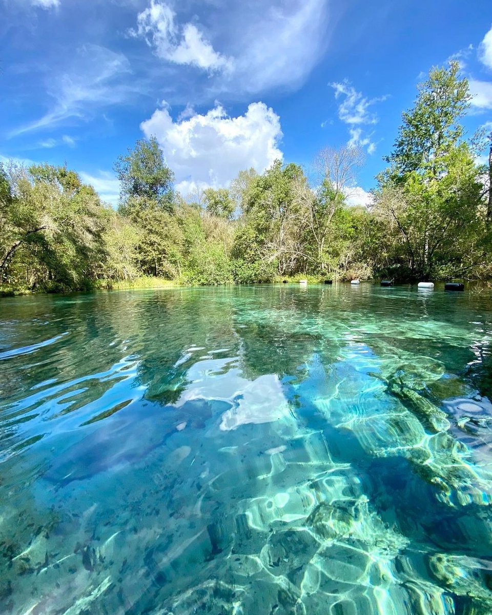 Friends that float are better than the ones who don't. 💧💙
📍 Ichetucknee Springs

📸 kayla_maria2