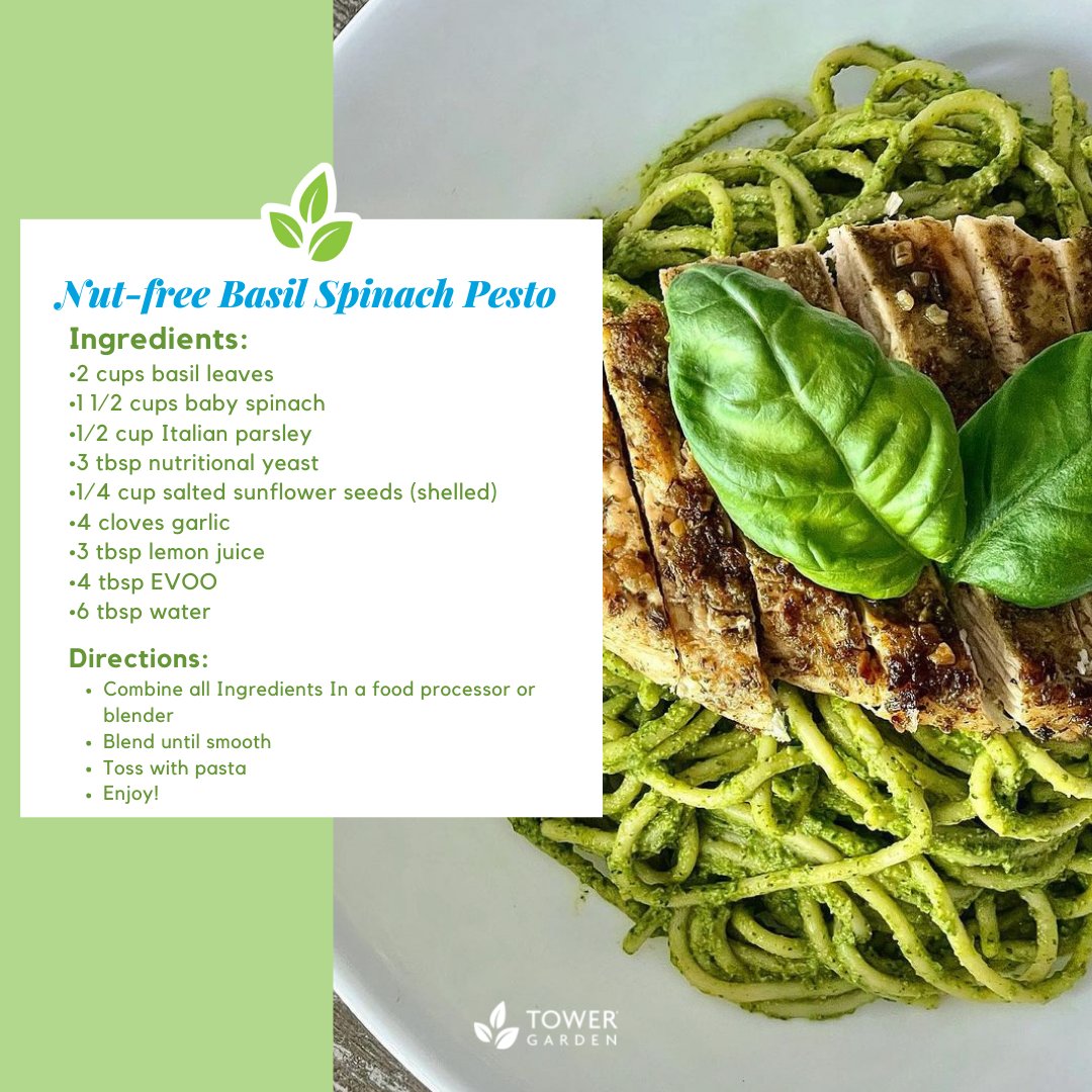 TowerGarden's tweet photo. Is your Tower Garden overflowing with basil? Try mixing up a batch of pesto to enjoy with your favorite pasta and protein! 

 📸 : https://t.co/b9S70IpA6g https://t.co/hVcX5ov1SV