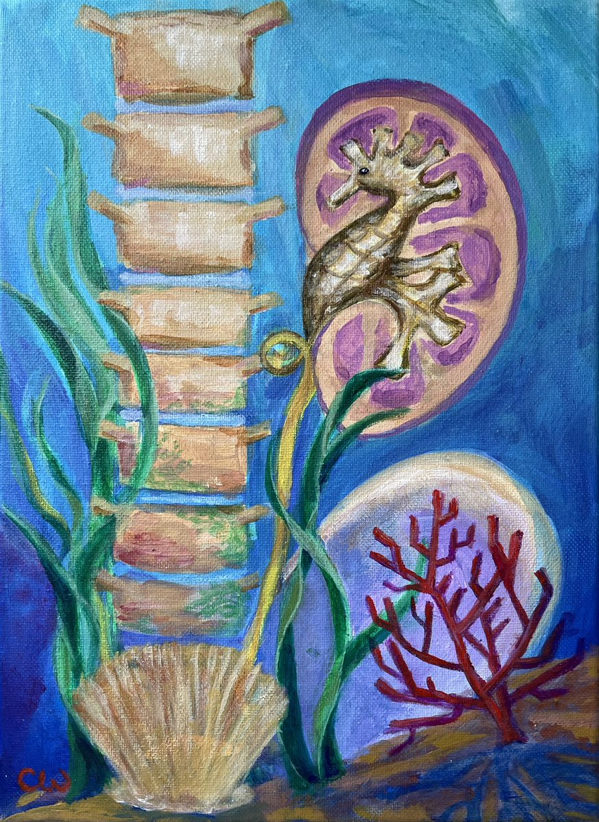 I reimagined renal calyces in a retrograde pyelogram into a seascape that represents the culmination of my love for art, medicine, and urology!

Peep the seashell bladder and the Coudé coral 👀

#medtwitter #medschool #medicalart #art #urology #urosome