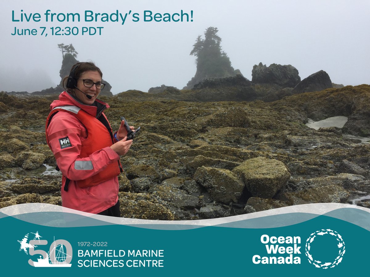BamfieldMSC's tweet image. It&apos;s Ocean Week Canada!   
BMSC goes live TOMORROW, June 7, 12:30 pm PDT

Join our interactive event - #BMSCLive from Brady’s Beach! 

Free Registration: bit.ly/3aqnJHJ

@OceanWeekCan
 #oceanweekcanada #OWC2022 
#BMSC50