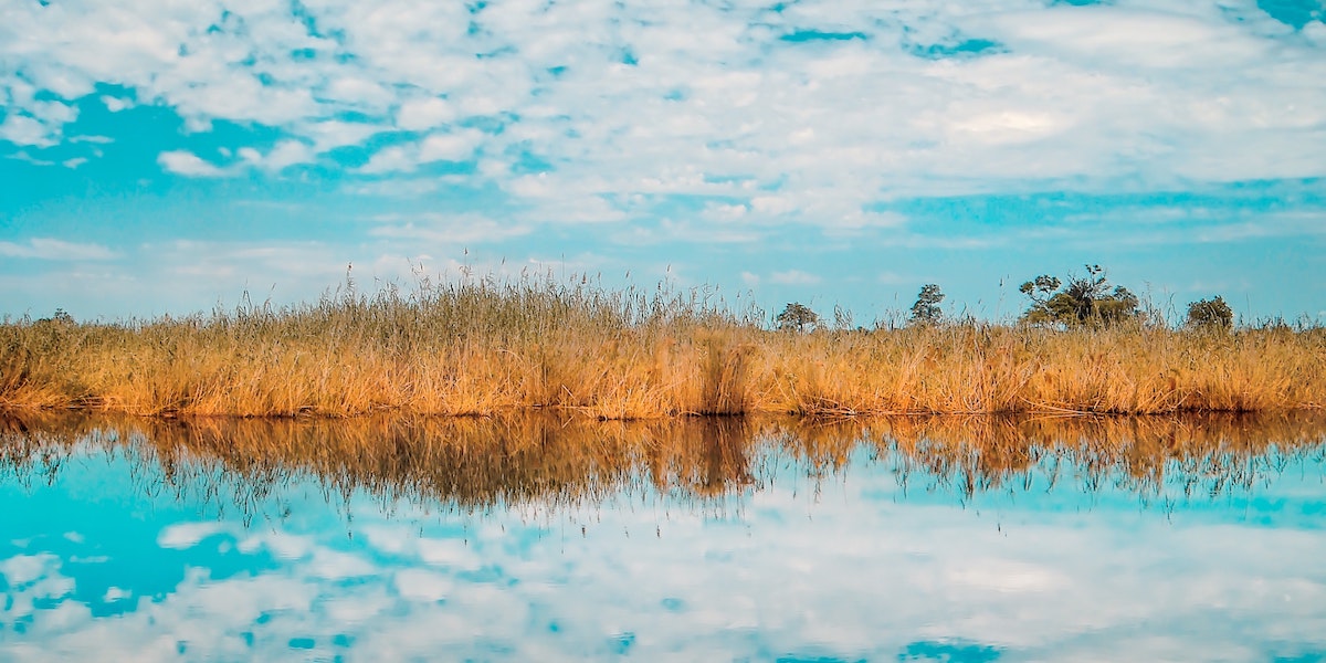 15 clés pour lancer et animer votre programme ambassadeur social.cyrilbladier.eu/SRjWQS