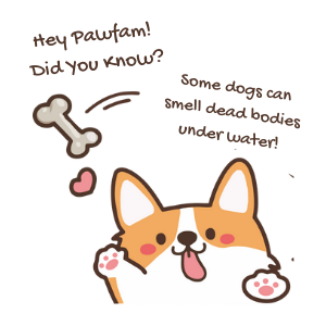 Naughty Paws Fun Trivia!
Follow + RT for more!
#NFTdrops #NFTartist #NFTCommunity #NFTProject #NFTartwork #NFTCollection #NFTs #NFTdrop #NFTGiveaway #nftart