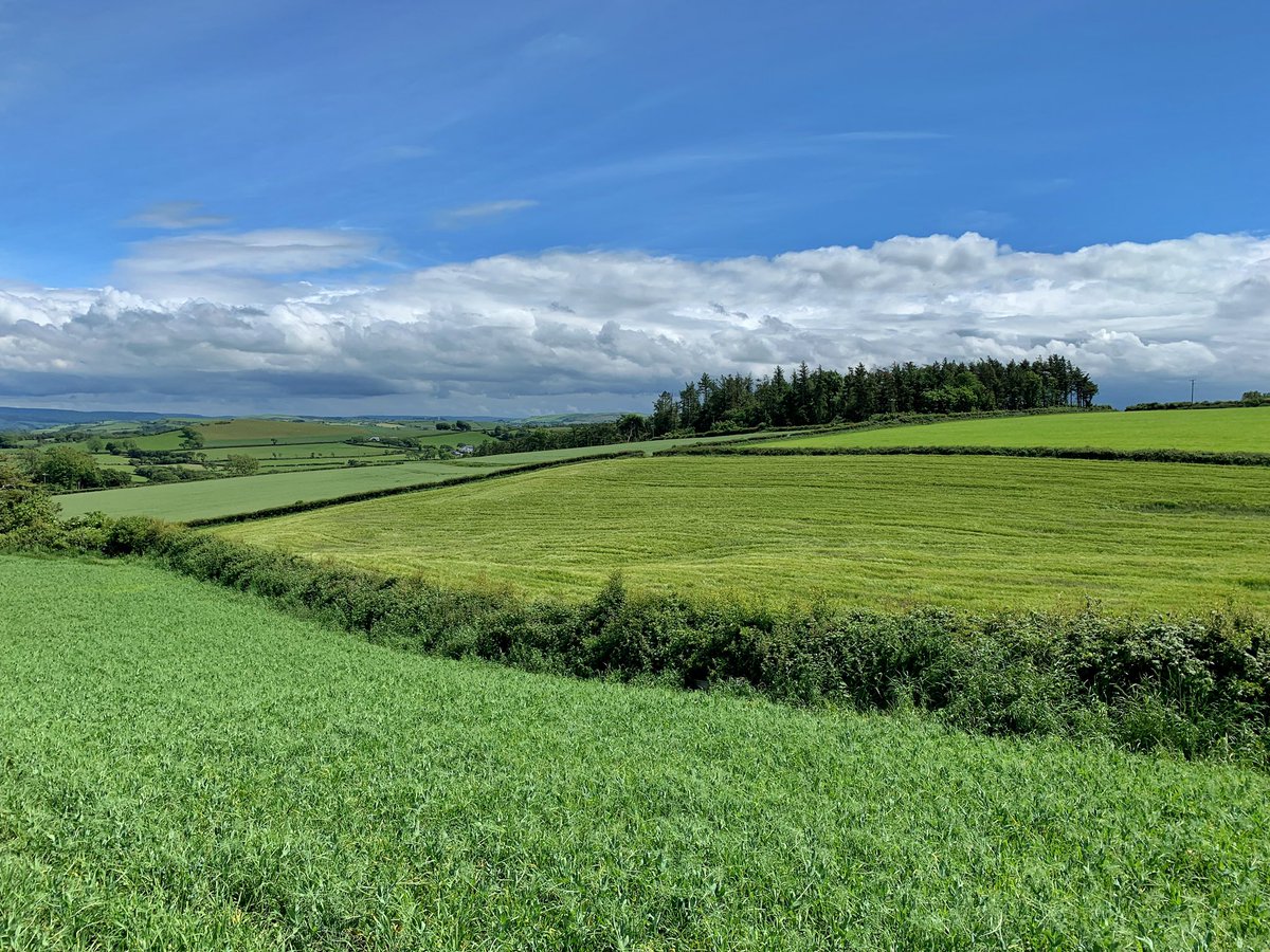 Trawsgoed Farm tweet media