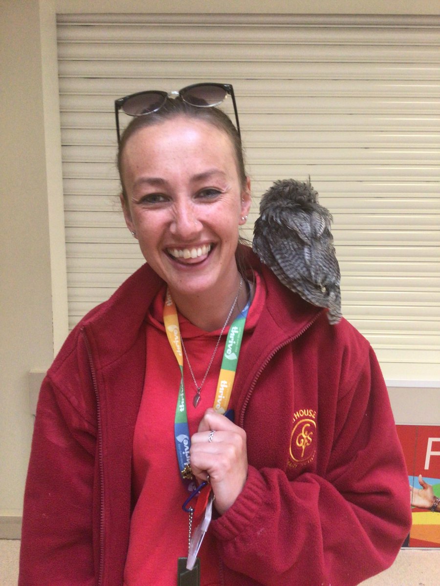 What an amazing afternoon with <a href="/exoticanimals1/">Exoticanimals1</a> this was my fav moment of the day! So many incredible animals!