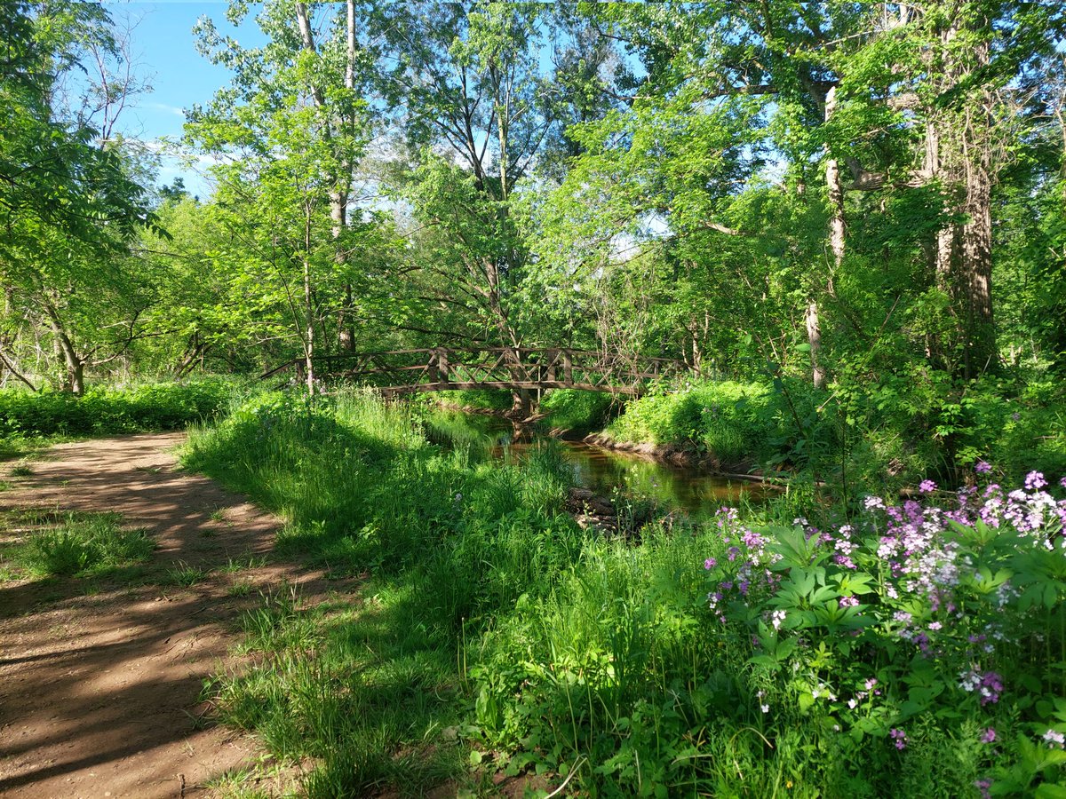 If u HAVE to be up early to drive ur kiddo to Burlington, why wouldn't u also check out Hidden Valley Park? This adventure inspired by #WalkorWheel...a chance to reconnect with natural surroundings! While this trail isnt part of #WRAwesome it reminds me I'm #BetterTogetherWR