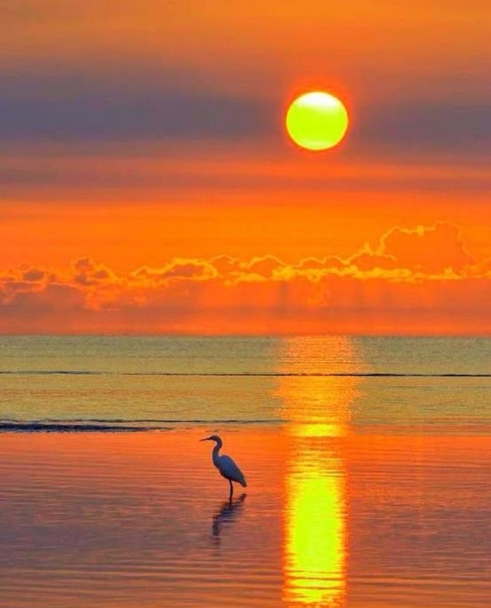 Daniella_C1804's tweet photo. Good evening 💫🧡✨ https://t.co/QbfWh2qkxa