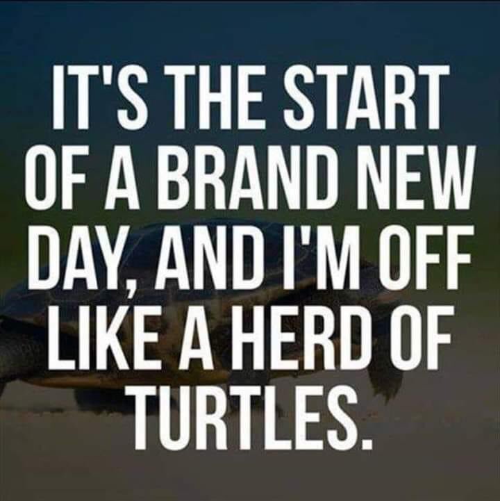 TheAdventureRo1's tweet photo. Glad to be home after days in the hospital but moving so slow! https://t.co/elU4fzXFcO