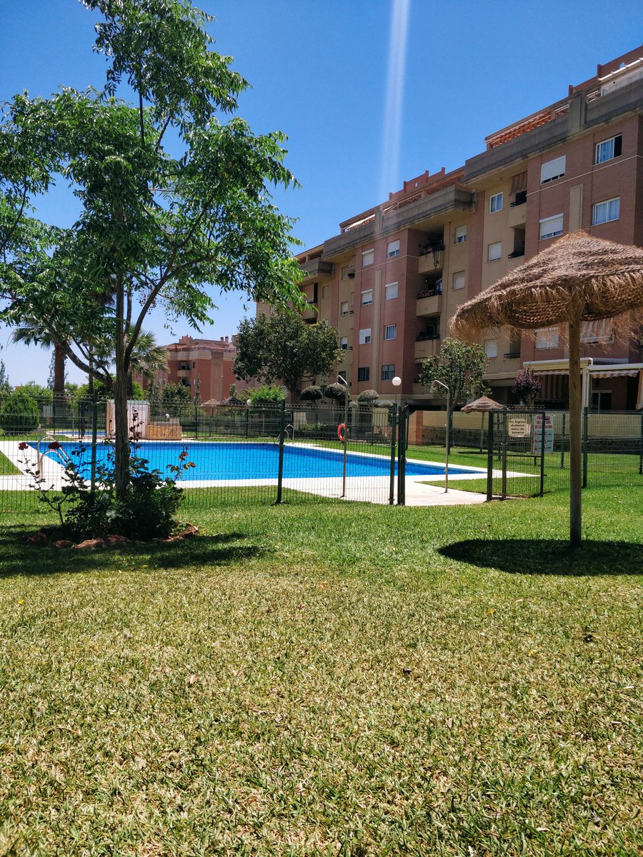 ElementzzOW's tweet image. Estrenando la piscina 🏊🏽‍♂️