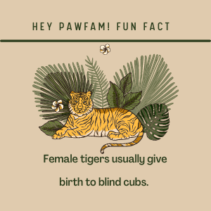 Naughty Paws Fun Trivia!
Follow + RT for more!
#NFTdrops #NFTartist #NFTCommunity #NFTProject #NFTartwork #NFTCollection #NFTs #NFTdrop #NFTGiveaway #nftart