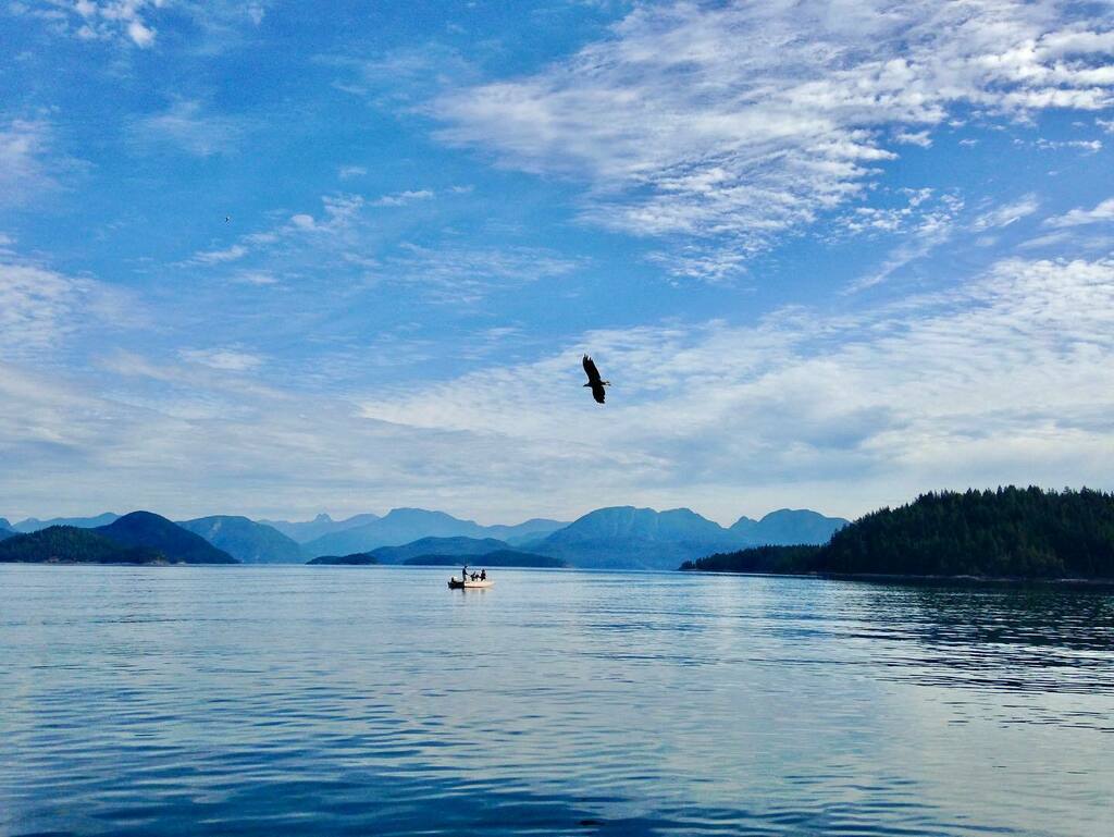 gjwahine's tweet image. Counting down the days until this…

Cortes here we come! See you in July.

#beautifulbritishcolumbia #cortesisland #desolationsound #summerplans #fishingview #summer instagr.am/p/CeeFuBwJAKX/