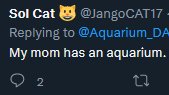 Our beautiful @JangoCAT17 's mom is in Aquarium DAO... are you?