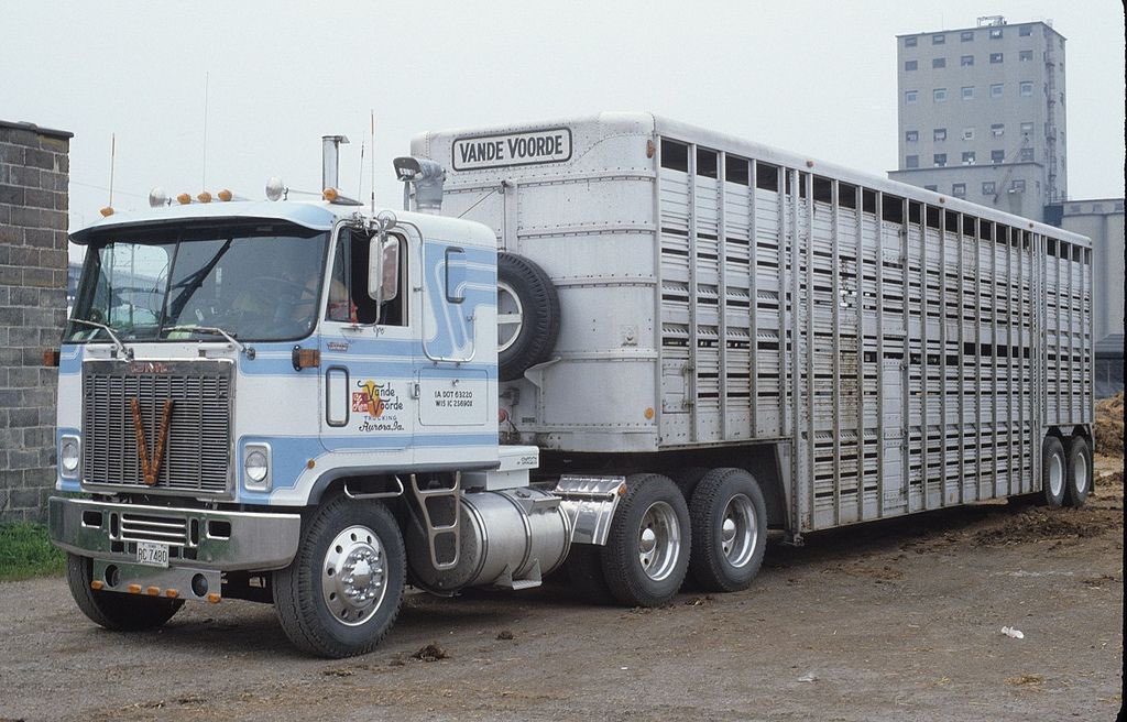 ATTENTION!!! Please use caution today on the highways. Especially during the dark of the moon…..