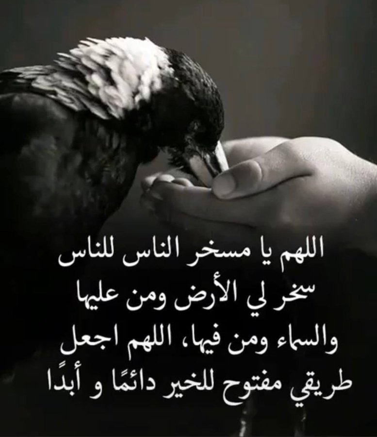 #اللهم_امين
#مردوده
#متابعه
#بوح 
#الحب_الحقيقي_هوا 
#الرياض_وظائف 
#جدة_الأن 
#الشرقية 
#الدمام_الخبر 
#تعليم_المدينة_المنورة