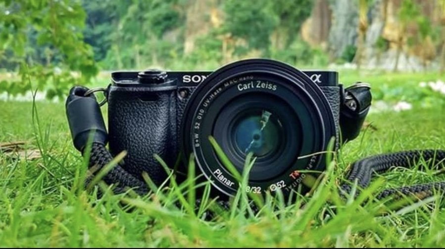 📷 CONCOURS PHOTO DES POTAPOTES - JUIN 2022🍅
Bonjour tout le monde, je relance le concours photo des potapotes
petit-potager.com/plus/potapotes…
A vos photos, le thème du mois est : le plus beau potager (photo dans son integralité ou en grande partie) 
Cyril